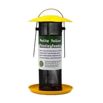 Songbird Essentials Goldfinch 0.5 lb Metal Thistle Bird Feeder