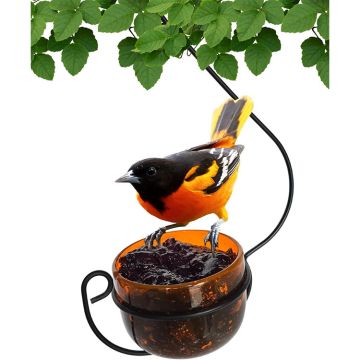 Backyard Essentials Bird Feeders Ornate Bird Feeder Orange Bubble Glass Jelly Feeder