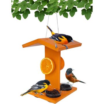 Backyard Essentials Bird Feeders Mammoth Oriole Feeder, Orange Poly Fruit and Jelly Feeder, with Removable Glass Cubs 