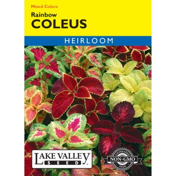 Coleus Mix 'Rainbow' Heirloom