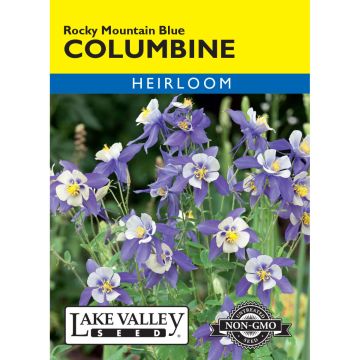 Aquilegia, Columbine 'Rocky Mountain Blue' Heirloom