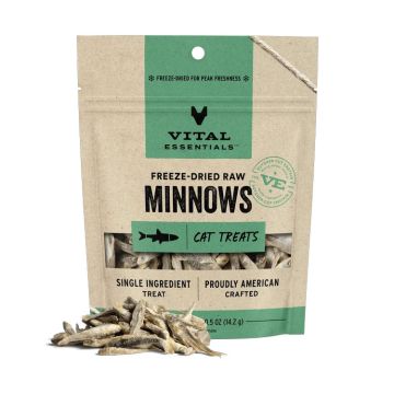 Vital Essentials Freeze-Dried Raw Protein Minnows