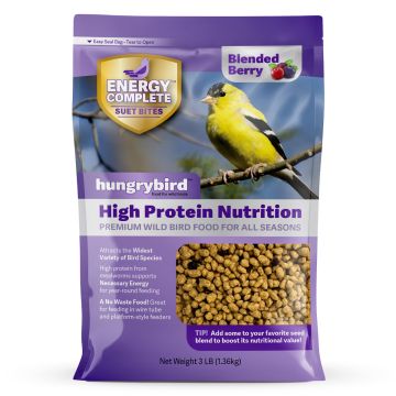 hungrybird® Energy Complete™ High Protein Suet Bites Blended Berry 3 lb