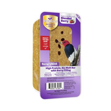 hungrybird® Ready-To-Use Energy+™ Protein-Filled Energy Cake with Berry Filling 17oz