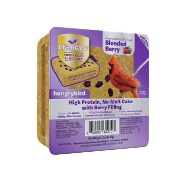 hungrybird® Energy+™ Protein-Filled Energy Cake with Berry Filling 12 oz