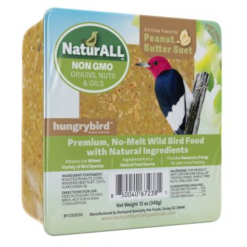 hungrybird® NaturALL™ Protein-Filled Energy Cake with Peanut Butter 12 oz