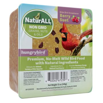 hungrybird® NaturALL™ Protein-Filled Energy Cake with Berries 12 oz