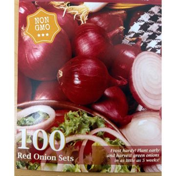 Allium, Red Onion Set 'Karmen'