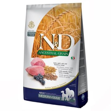 Farmina - N&D Ancestral Grain - Lamb & Blueberry Adult Medium & Maxi Dog Food, 26.4 lbs.