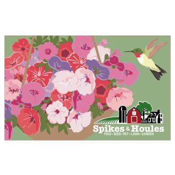 Spikes & Houles Flowers & Hummingbird Illustration - Gift Card