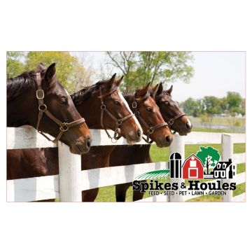 Spikes & Houles Horses Watching - Gift Card