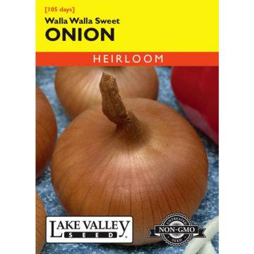 Allium, Sweet Onion (Long Day) 'Walla Walla' Heirloom