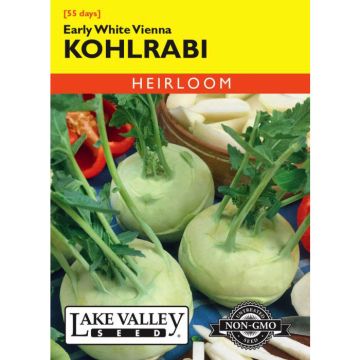 Brassica, Kohlrabi 'Early White Vienna' Heirloom