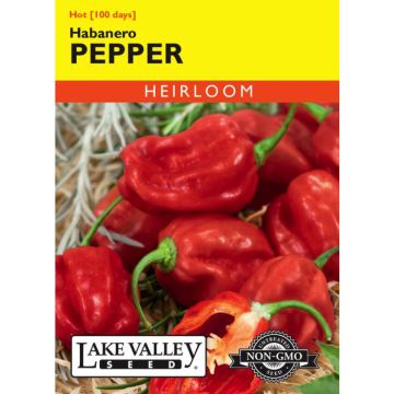 Capsicum, Hot Pepper 'Habanero' Heirloom