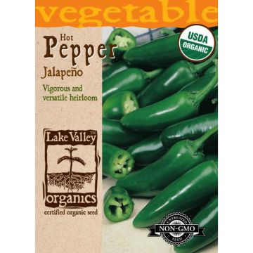 Capsicum, Hot Pepper 'Jalapeno' Organic Heirloom