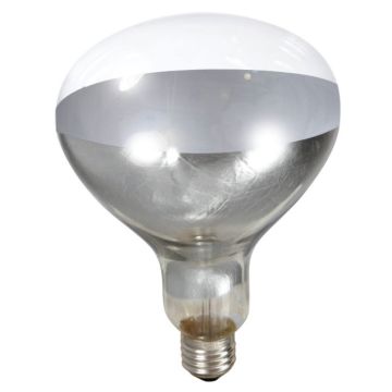 Little Giant Brooder Heat Lamp Bulb, Clear