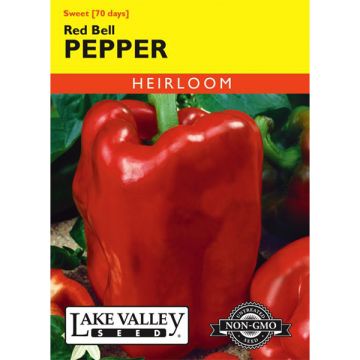 Capsicum, Sweet Bell Pepper 'Red' Heirloom