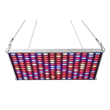 MiracleLED® Hangable Grow Panel Multi-Spectrum 12 x 12"