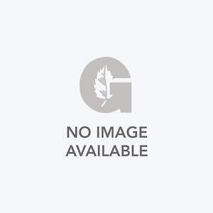 NutriSource® Chicken & Rice Recipe Wet Dog Food, 13oz can