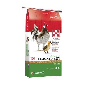 Purina Flock Raiser Crumble, 50 lbs.