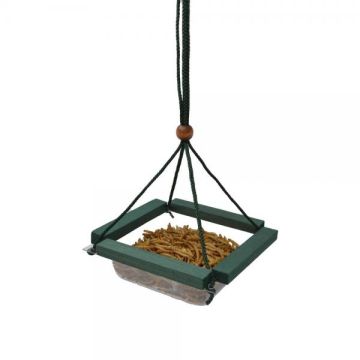 Songbird Essentials™ Hanging Mealworm Dish Feeder