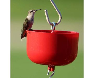 Songbird Essentials™ Nectar Protector Jr. Red 9oz