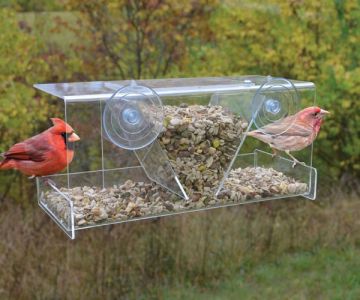 Songbird Essentials™ Clear View Deluxe Hopper Window Feeder