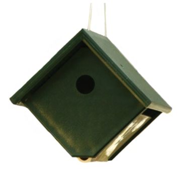 Songbird Essentials™ Recycled Plastic Wren House Hunter Ivory