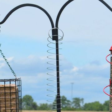 Songbird Essentials™ Squirrel Proof II Spring Device "Slinky"