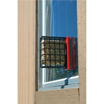 Songbird Essentials™ Suet Window Feeder Red