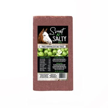 Sweet N Salty Apple Flavored Salt Brick Treat for Horses, 4 lbs.