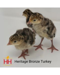 Turkey, Bronze Heritage