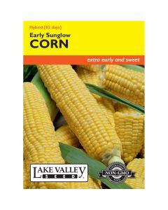 Zea, Sweet Corn (Early) 'Early Sunglow' Hybrid