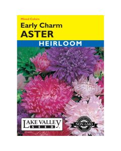 Callistephus, Chinese Aster Mix 'Early Charm' Heirloom