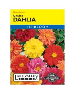 Dahlia Mix 'Unwin’s' Heirloom