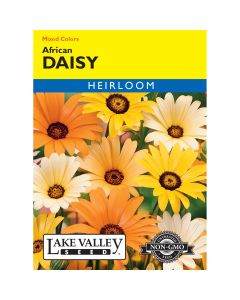 Dimorphotheca, African Daisy Heirloom Mix