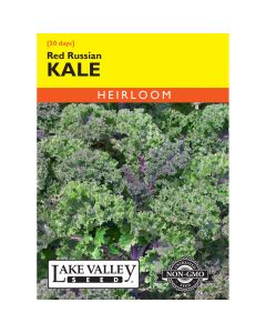 Brassica, Kale 'Red Russian' Heirloom