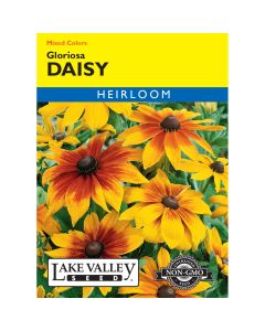 Rudbeckia, Gloriosa Daisy Heirloom Mix