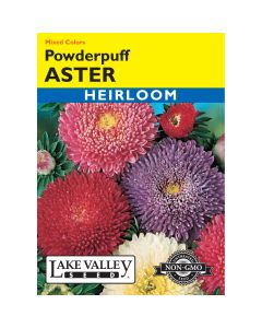 Callistephus, Chinese Aster Mix 'Powderpuff' Heirloom
