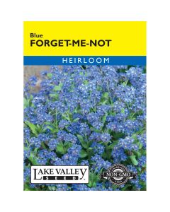 Myosotis, Woodland Forget-Me-Nots 'Blue' Heirloom