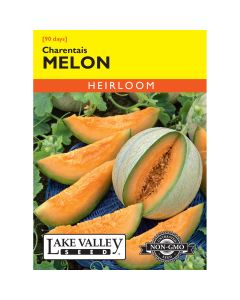 Cucumis, Melon 'Charentais' Heirloom