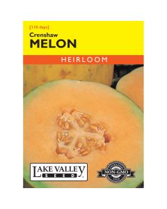Cucumis, Melon 'Crenshaw' Heirloom