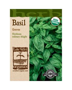 Ocimum, Culinary Basil 'Genovese' Organic Heirloom