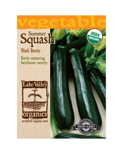 Cucurbita, Zucchini 'Black Beauty' Organic Heirloom