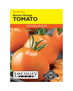 Solanum, Tomato Beefsteak (Pole) 'Amana Orange' Heirloom