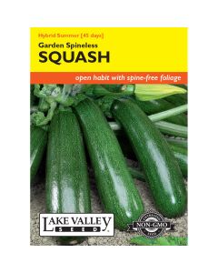 Cucurbita, Zucchini 'Garden Spineless' Hybrid