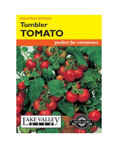 Solanum, Tomato Cherry (Bush) 'Tumbler' Hybrid