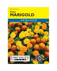 Tagetes, French Marigold Mix 'Petite' Heirloom