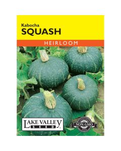 Cucurbita, Hardy Winter Squash 'Kabocha' Heirloom