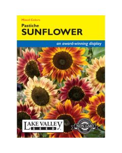 Helianthus, Sunflower Mix 'Pastiche'